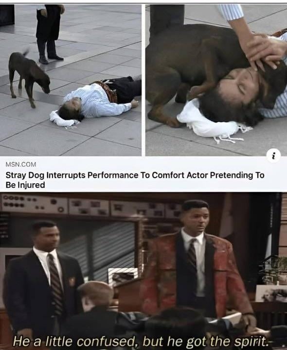 stray dog joined the play cause someone looked hurt - meme