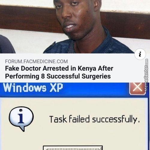 Task failed successfully - meme