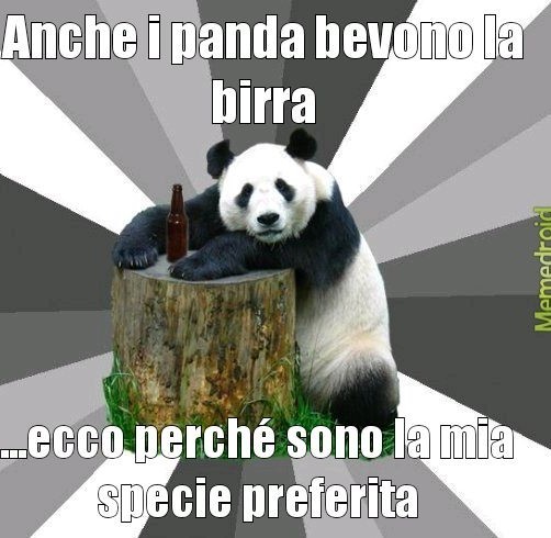 Panda alcolizzati - meme