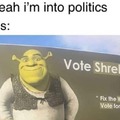 Yes, i'm into politics