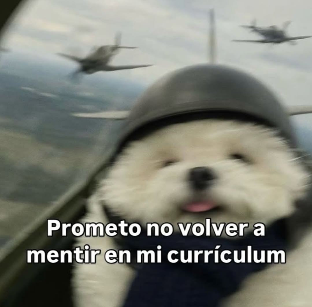 Nunca más volveré a poner Excel nivel dios en mi CV - meme