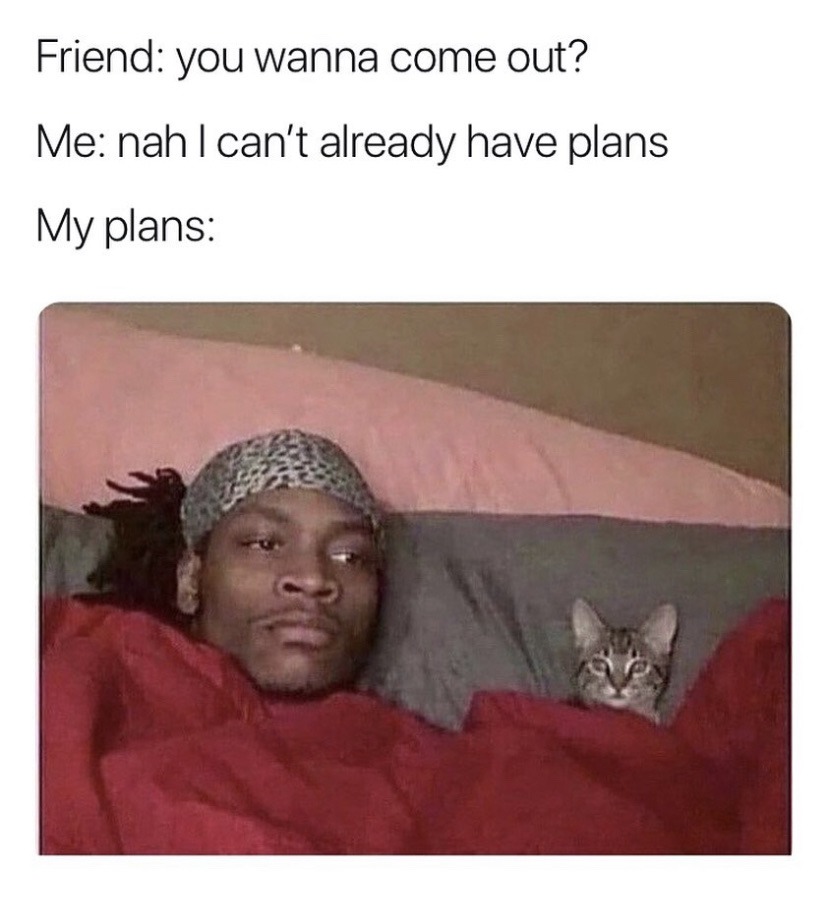 my plans - meme
