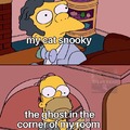 Spooky snooky