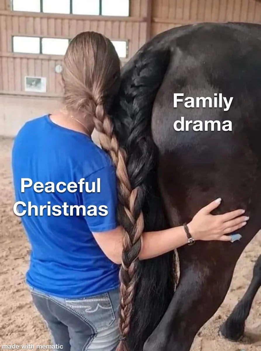 Peaceful Christmas x Family drama - meme