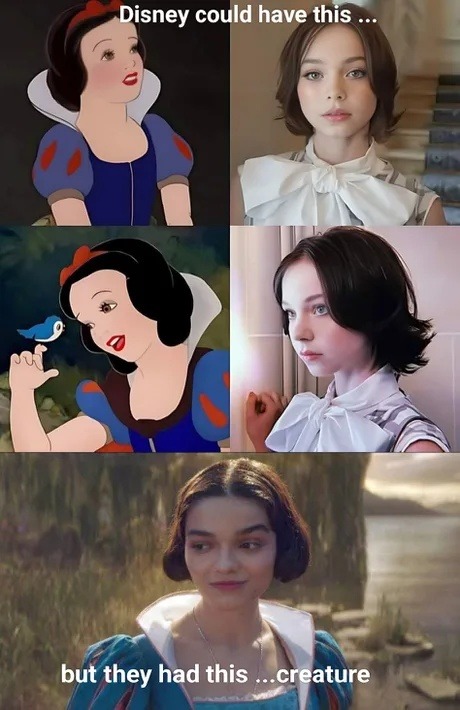 Disney could've picked this... but chose this nightmare instead - meme