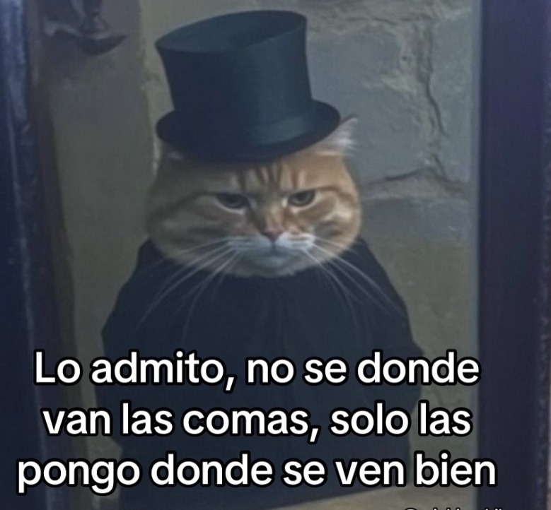 pongo comas donde se ven bonitas y ya - meme