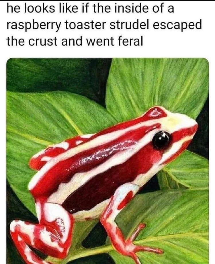 cough drop frog - meme