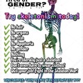 skeletonism