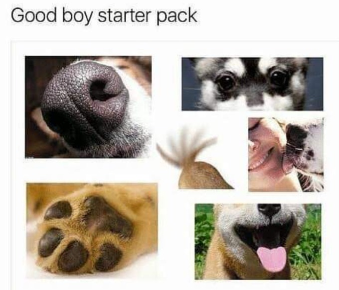 Only good boys can relate - meme