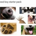 Only good boys can relate