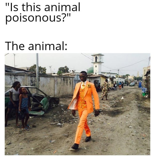 poisonous animals - meme