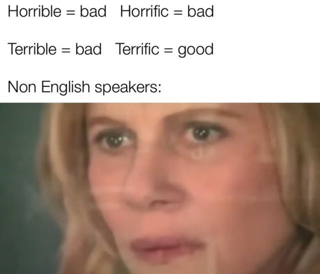 Non english speakers - meme