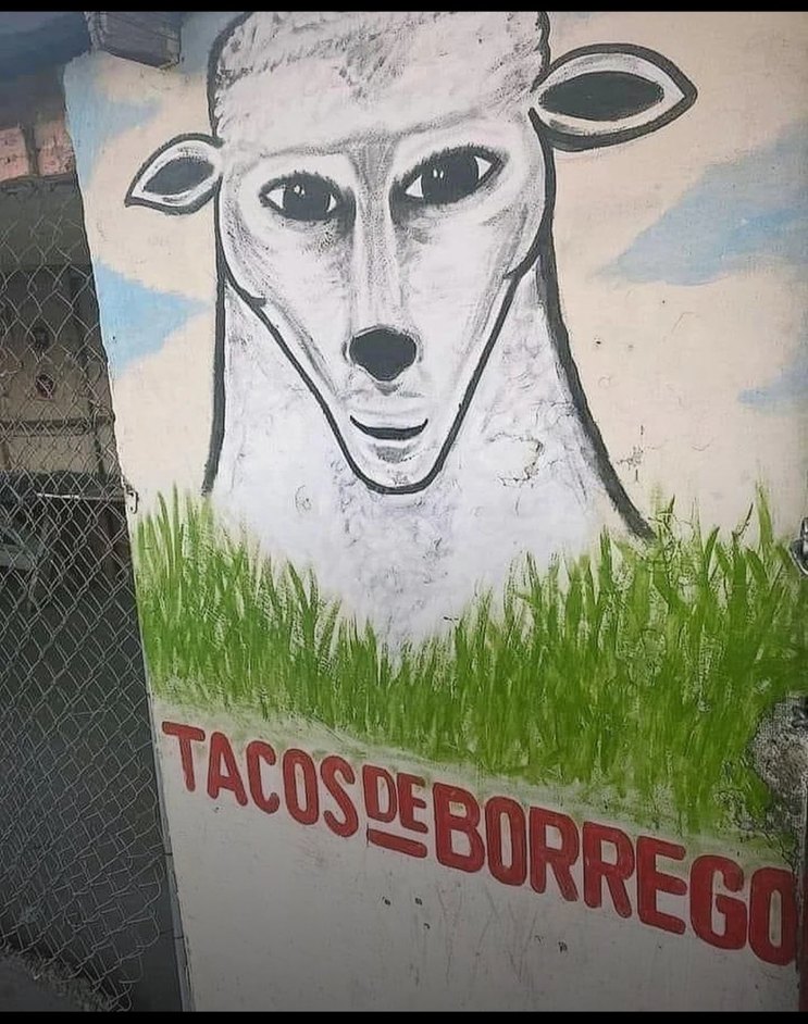 Tacos de borrego - meme