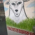 Tacos de borrego