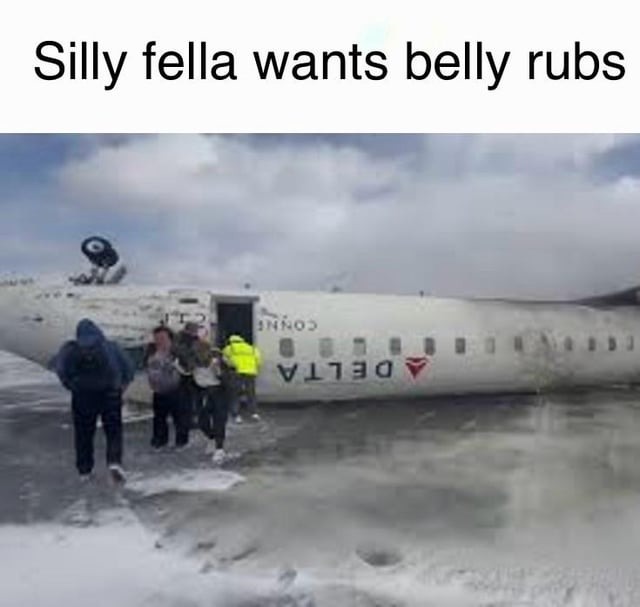Delta crash meme