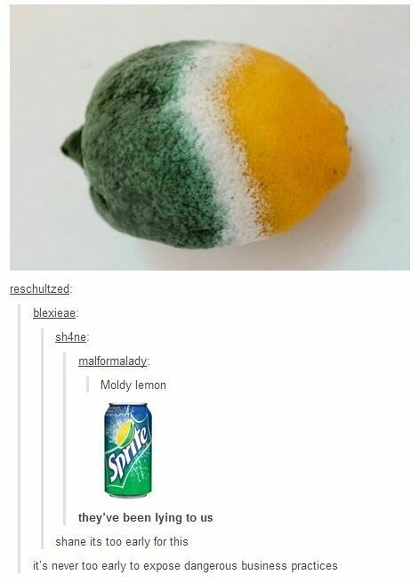 moldy lemon - meme
