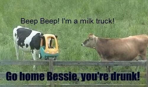 god damn it bessie - meme