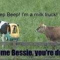 god damn it bessie