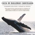 caza de Ballenas Cancelada