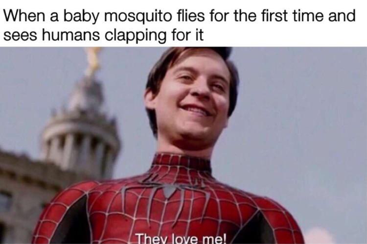 Baby mosquito - meme