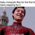 Baby mosquito