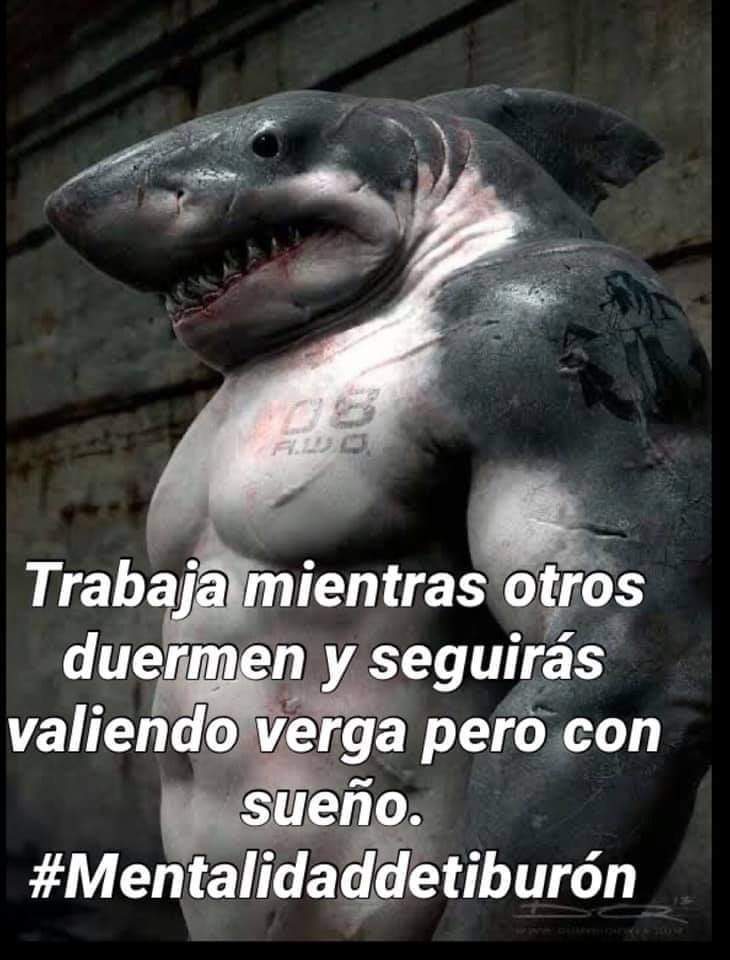 #mentalidad de tiburon - meme