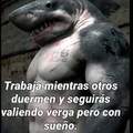 #mentalidad de tiburon