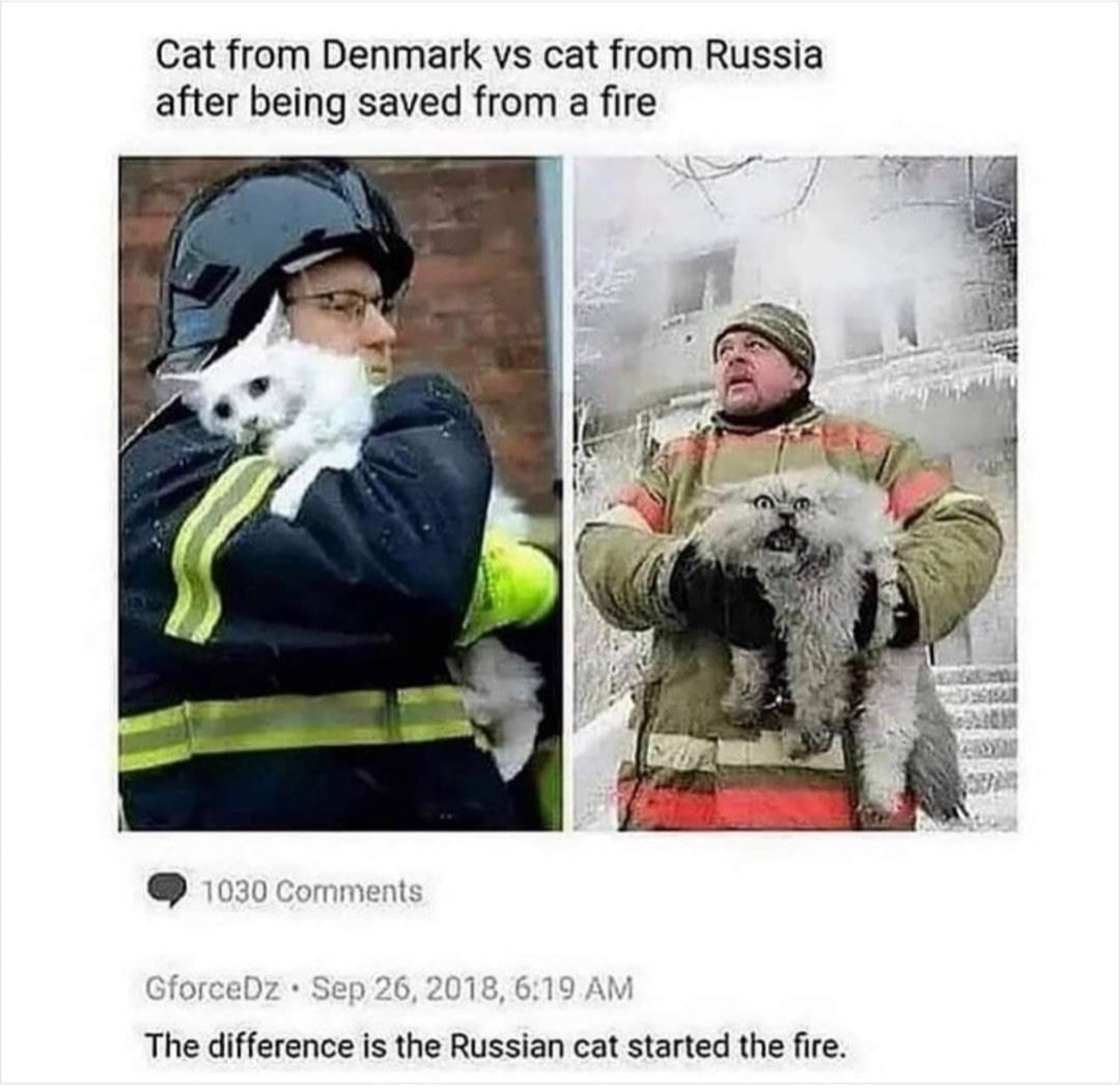 Comrade Cat - meme