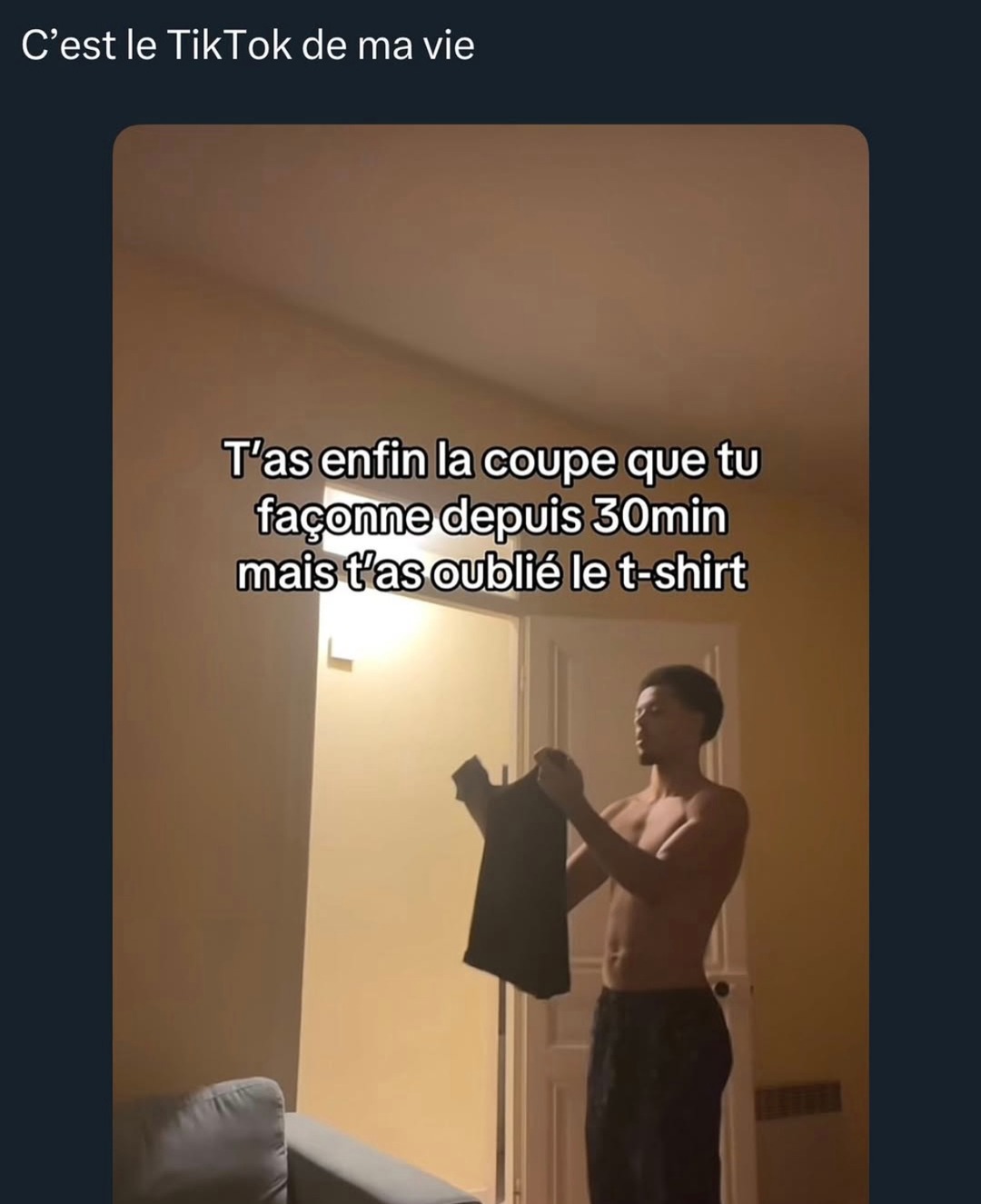 30 min à bosser ta coupe pour zapper le t-shirt, classique TikTok life - meme