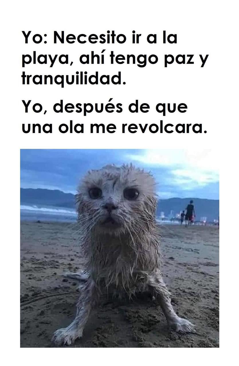 Voy a la playa por paz y termino peleando con una ola como en Mortal Kombat - meme