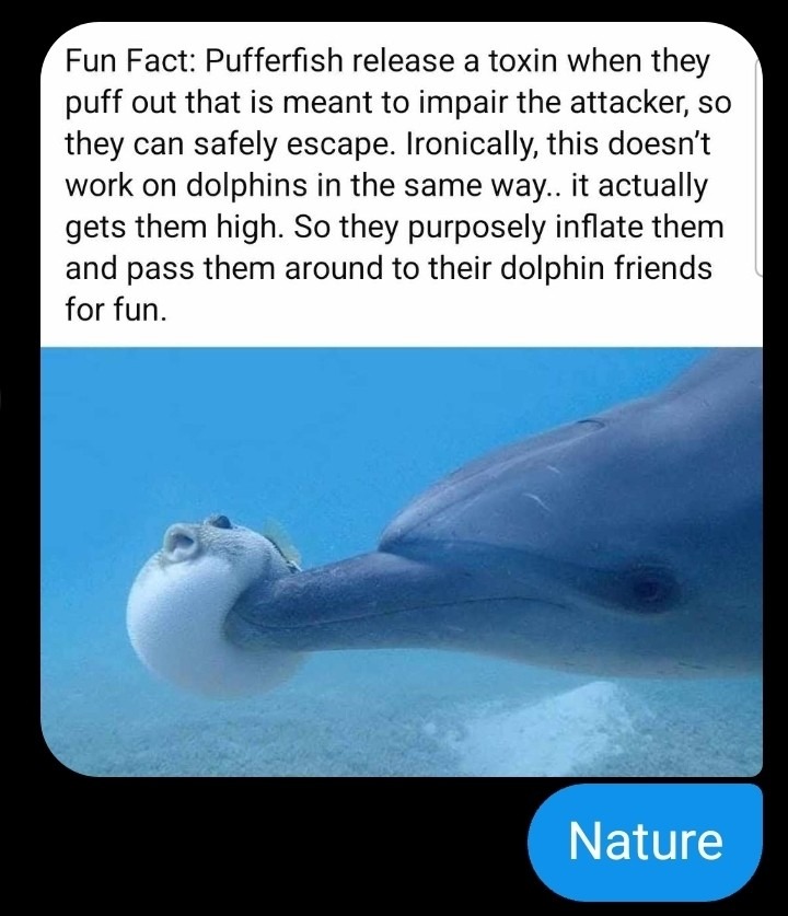 Nature... - meme