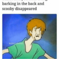 where are you scooby doo