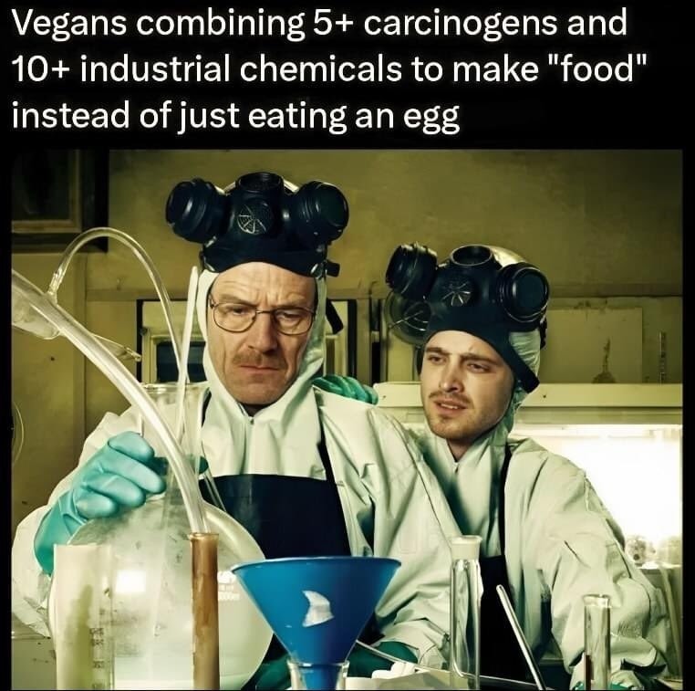 Vegan "food" - meme