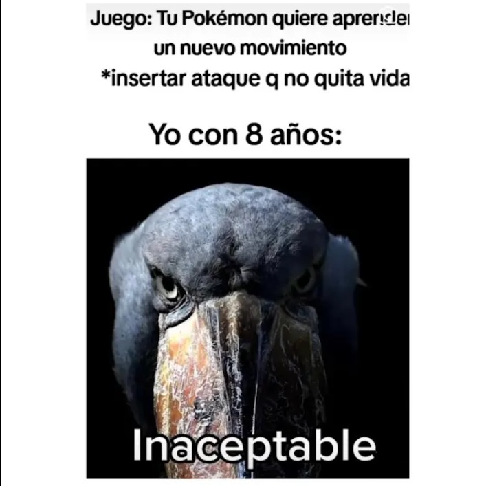 Meme