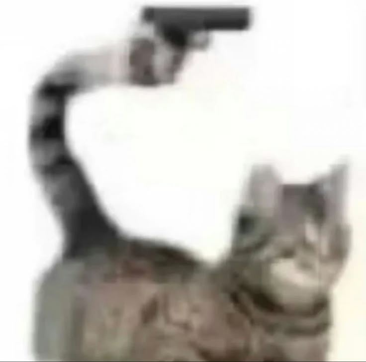 ira w - meme