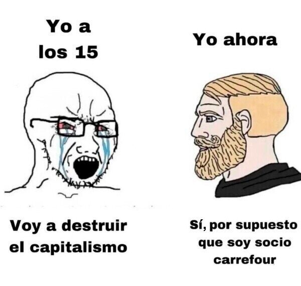 Yo a los 15 queriendo destruir el sistema siendo socio del Carrefour - meme