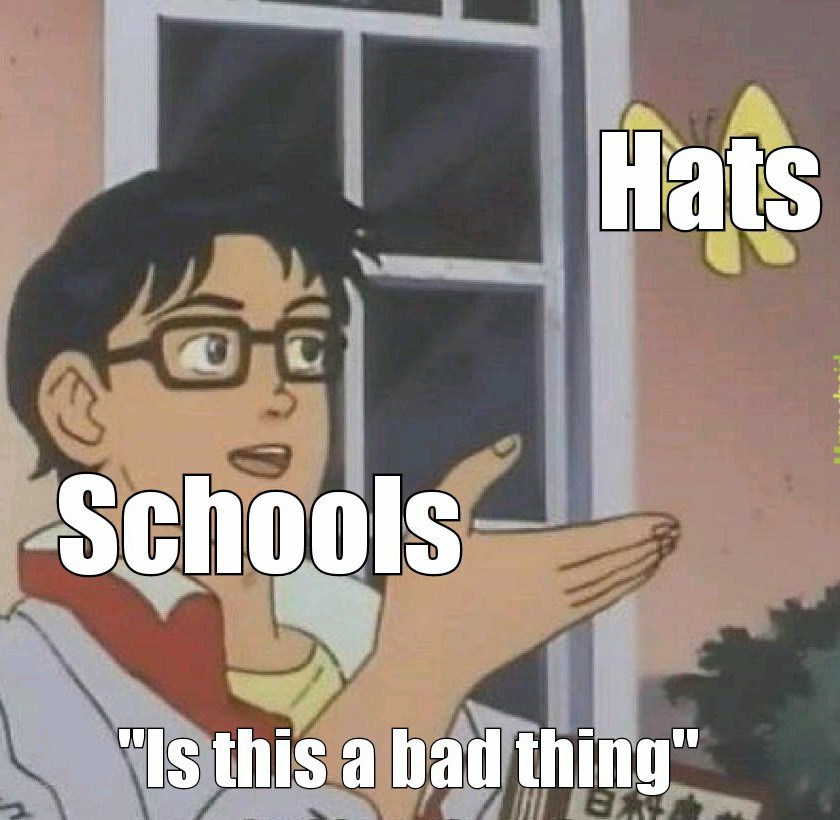 Are hats bad? - meme