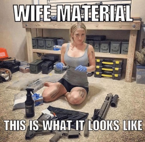 Wife Material - meme