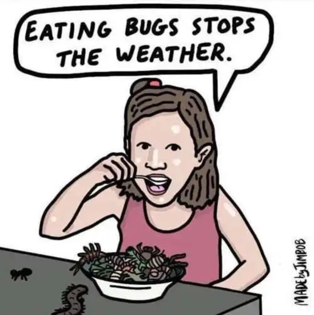 Eat bugs - meme