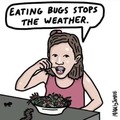 Eat bugs