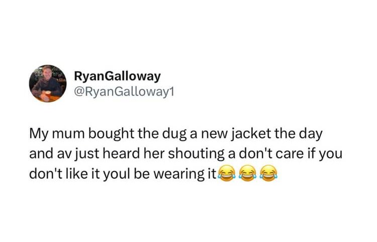 jacket for Scottish doggo - meme