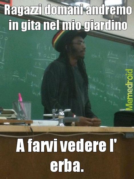 Tutti vennero fermati dai carabinieri. - meme