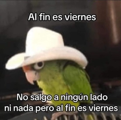 yo los viernes - meme