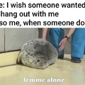 I too am a fat seal
