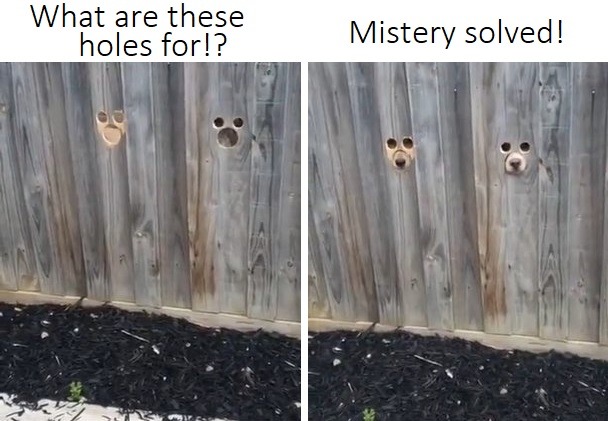 Mystery and Mistery, both solved - meme