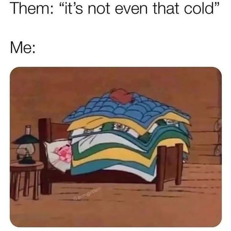 It's not even that cold - meme