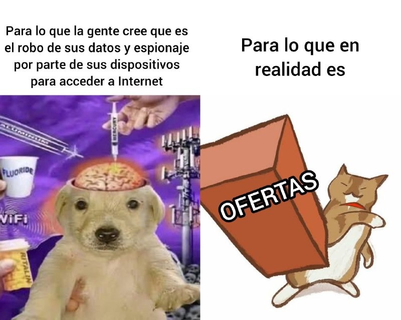 Tus datos no les importan, bro, solo quieren que abras el WiFi - meme