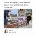 Cat for meat....
