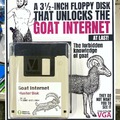 Nothing else evolves to goat