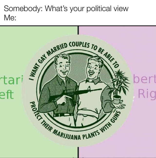 What's your political view - meme